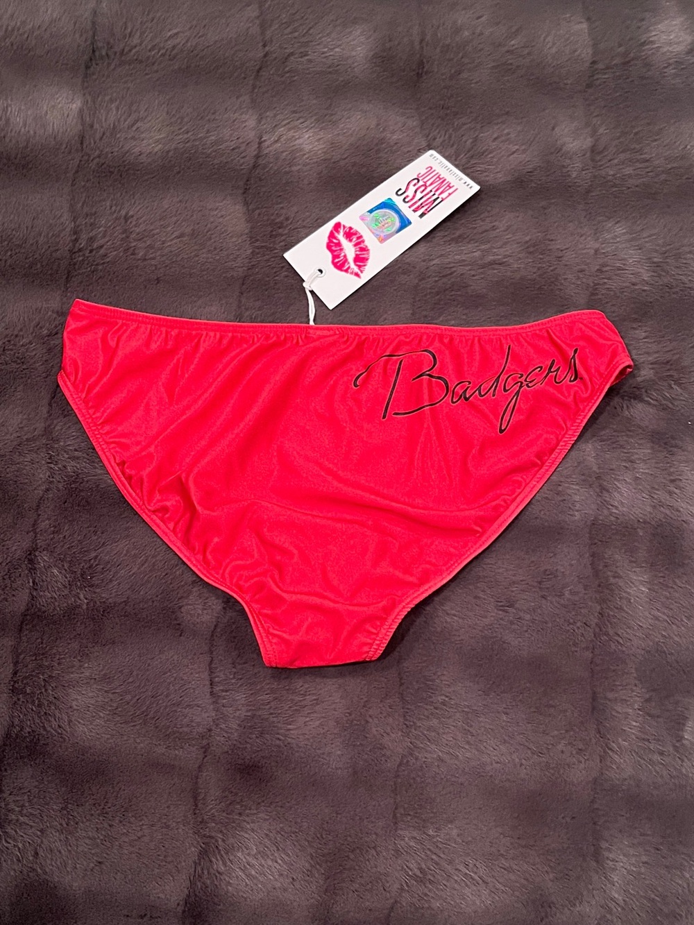 NCAA University of Wisconsin Badgers Bikini Bottoms (Large)